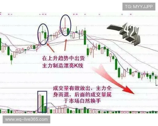 波胆代理怎么找精准客户电子竞技投注盘口避坑防骗